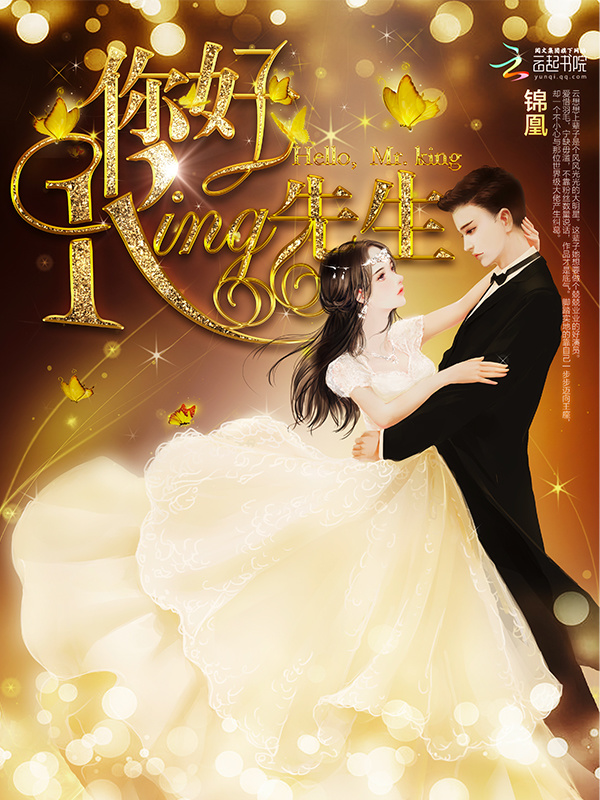 你好，King先生小说封面