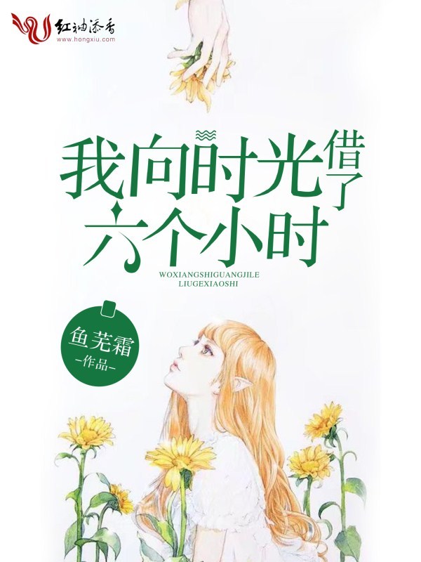 我向时光借了六个小时小说封面