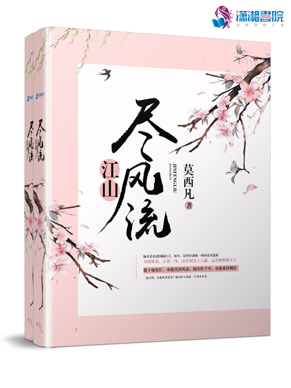 江山尽风流小说封面
