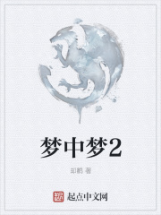 《梦中梦2》封面
