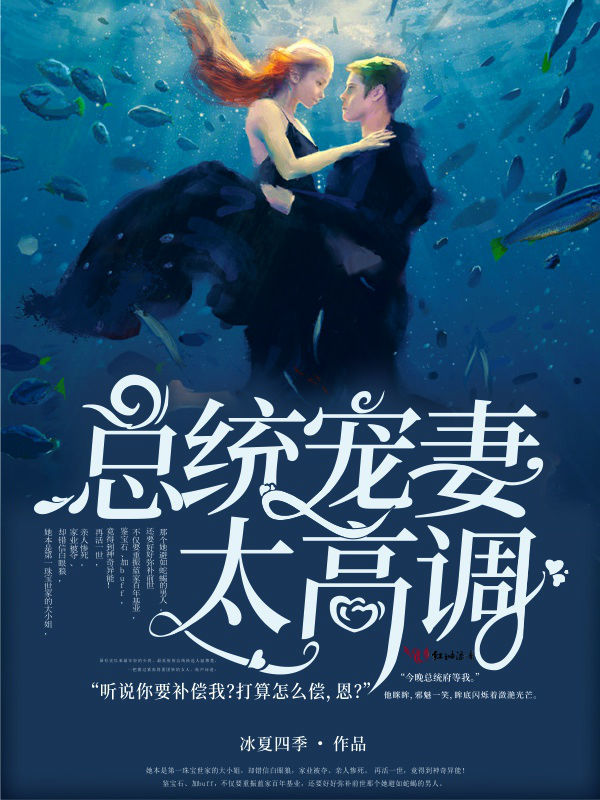 总统宠妻太高调小说封面