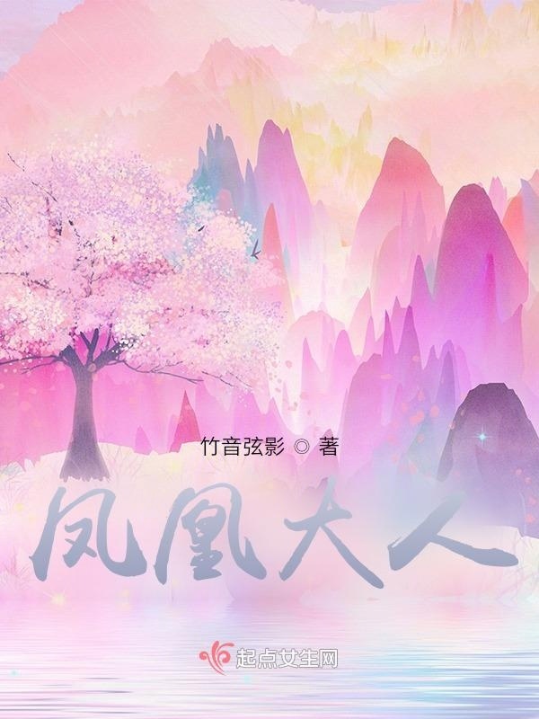 凤凰大人小说封面