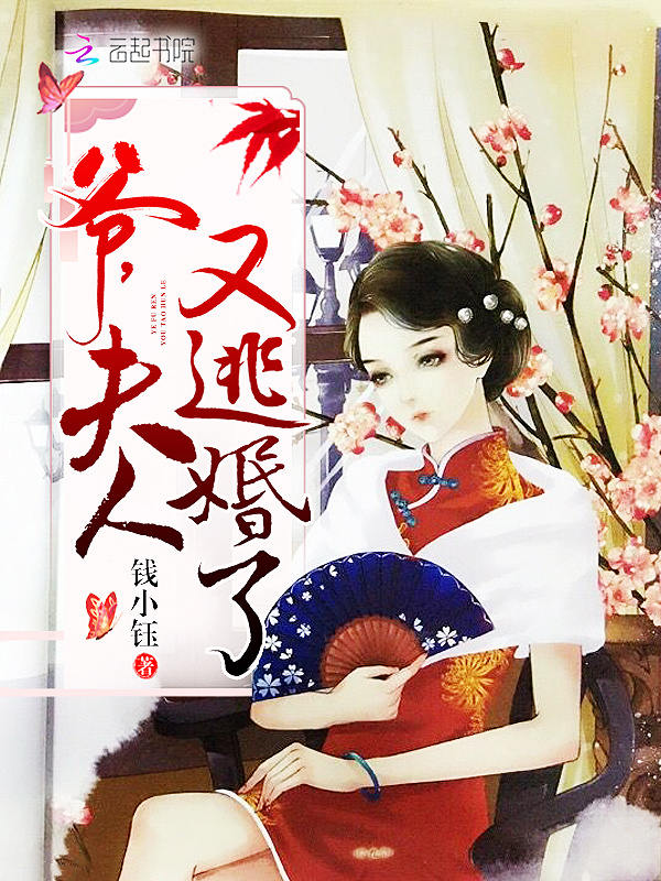 爷，夫人又逃婚了小说封面