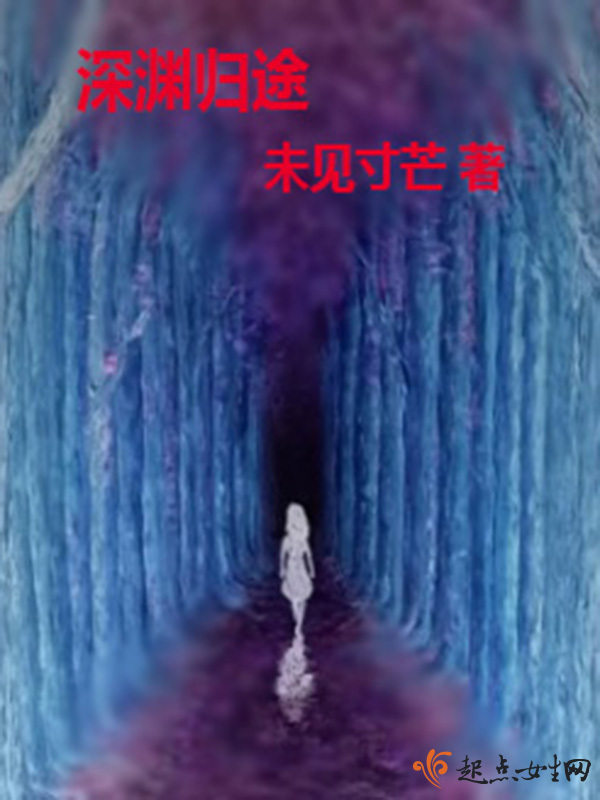 深渊归途小说封面