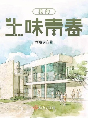 《我的土味青春》封面