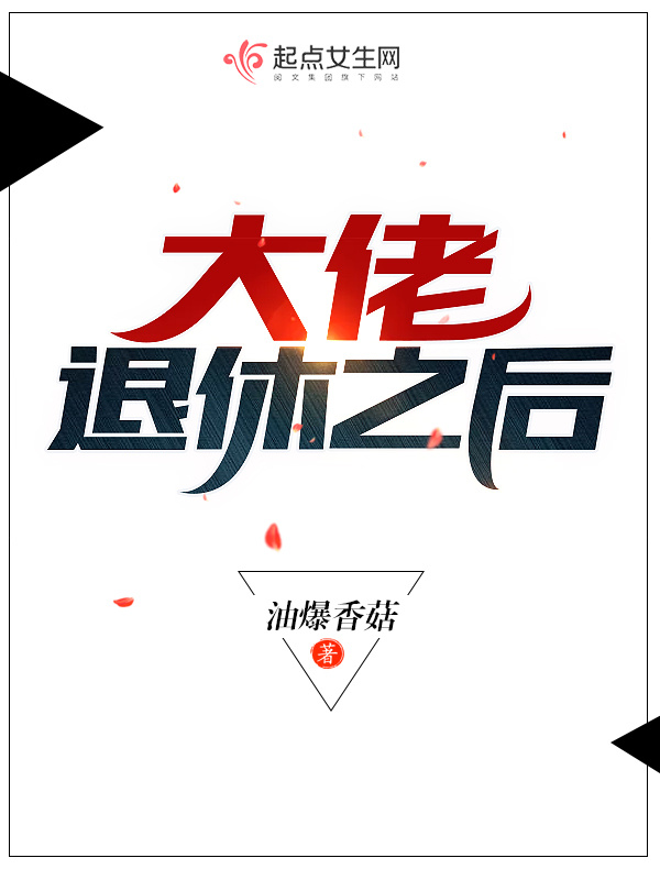 大佬退休之后小说封面