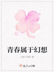 《青春属于幻想》封面