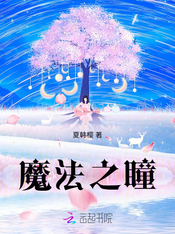 魔法之瞳小说封面