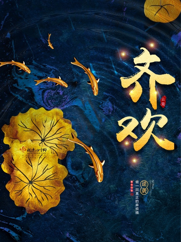 齐欢小说封面