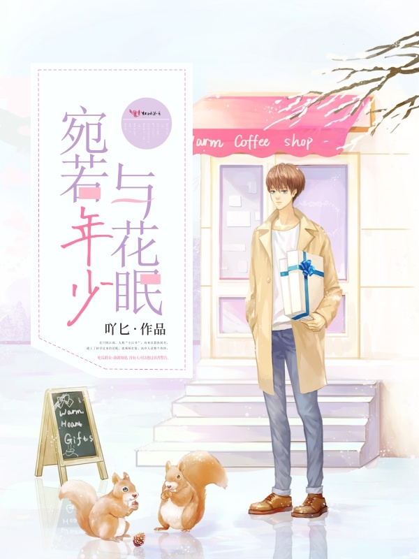 宛若年少与花眠小说封面