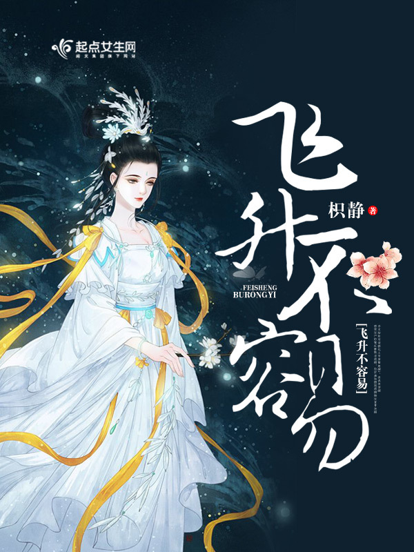 飞升不容易小说封面