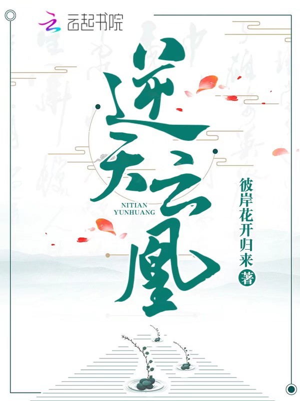 逆天云凰小说封面