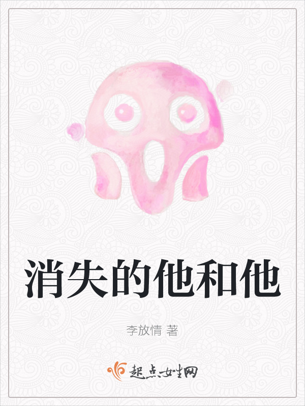 消失的他和他小说封面
