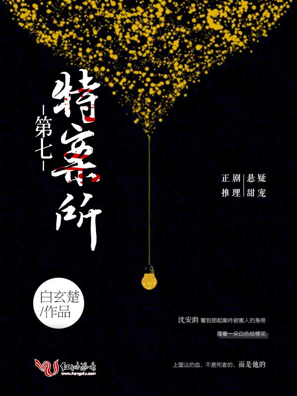 第七特案所小说封面