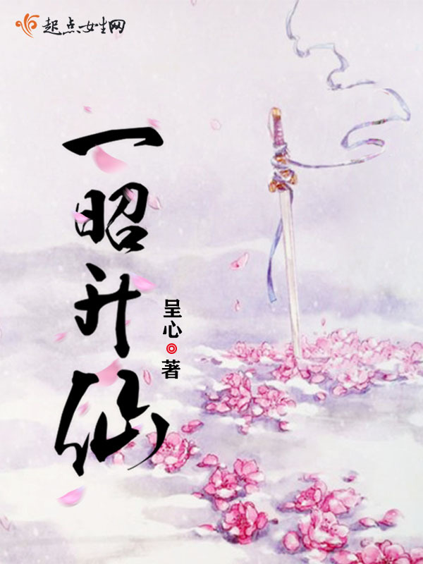 一昭升仙小说封面