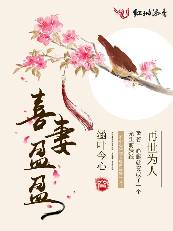 喜妻盈盈小说封面