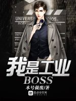 我是工业BOSS