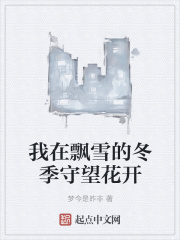 《我在飘雪的冬季守望花开》封面