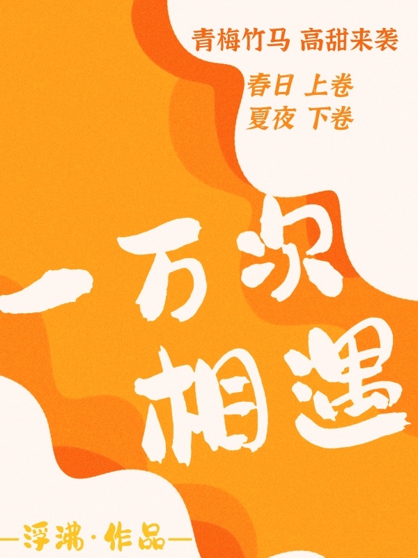 一万次相遇小说封面
