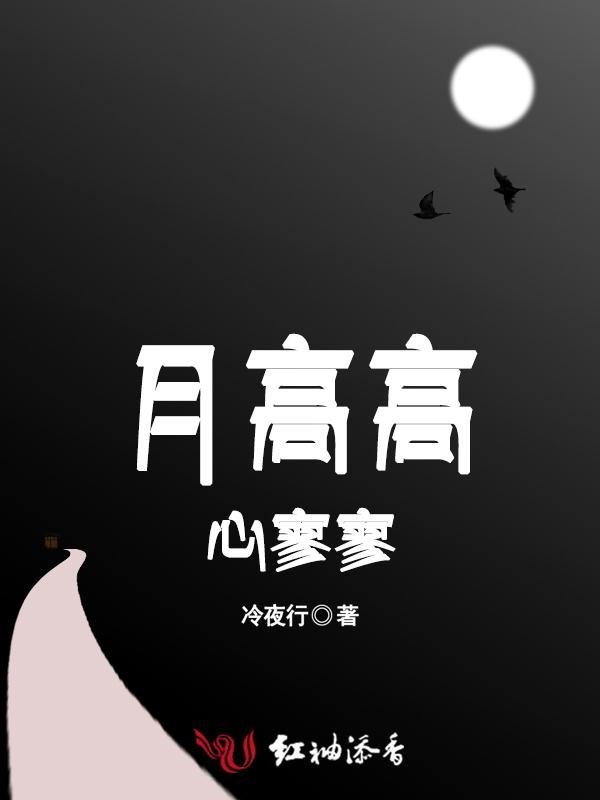 月高高心寥寥小说封面