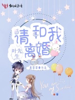 叶先生请和我离婚