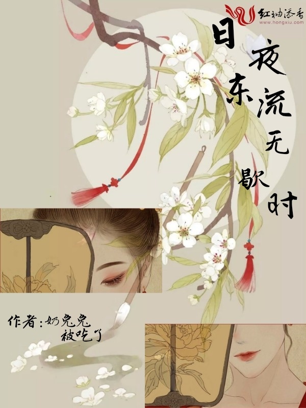 日夜东流无歇时小说封面