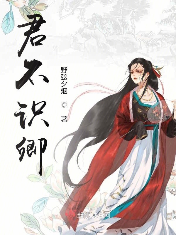 君不识卿小说封面