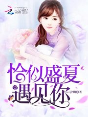 恰似盛夏遇见你