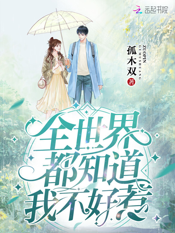 全世界都知道我不好惹小说封面