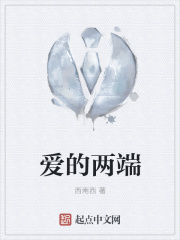 《爱的两端》封面
