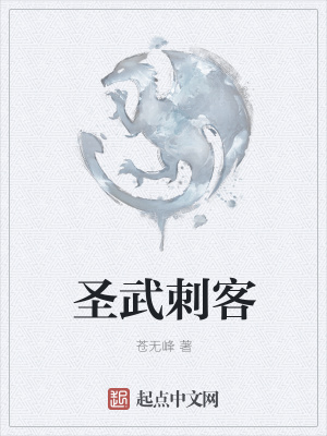 《圣武刺客》封面