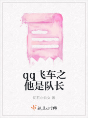 《qq飞车之他是队长》封面
