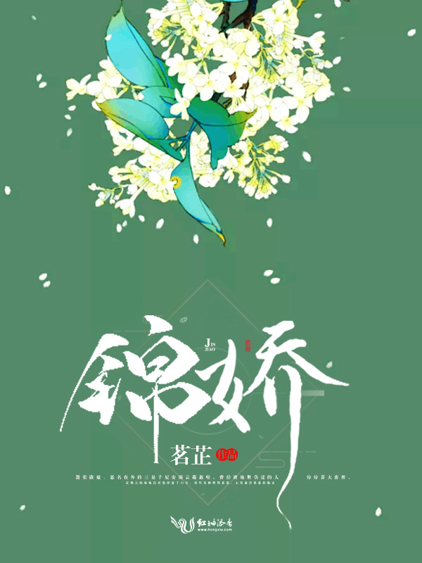 锦娇小说封面
