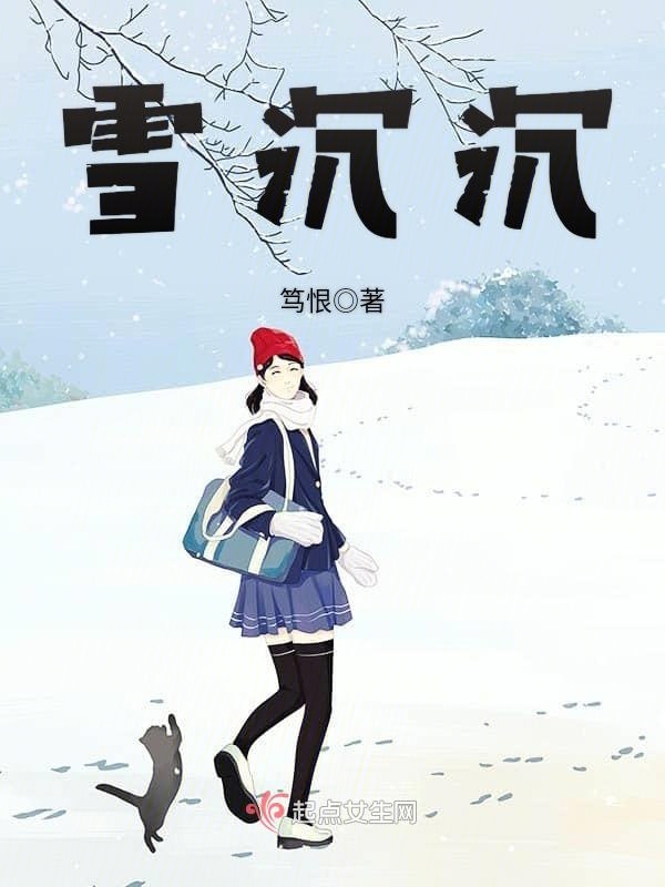 雪沉沉小说封面