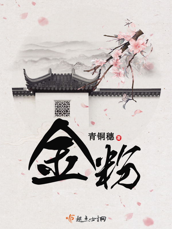 金粉小说封面