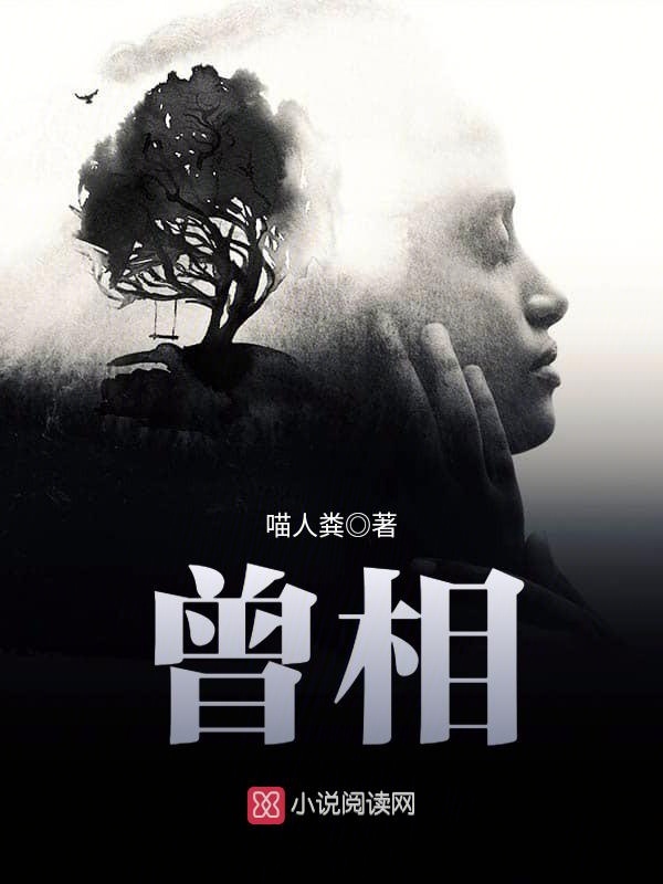 曾相小说封面