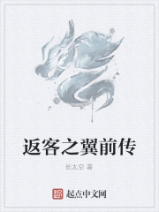 《返客之翼前传》封面