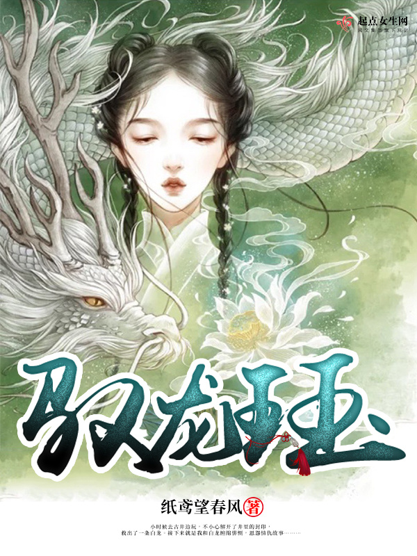 驭龙珏小说封面