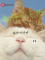 肥仔马飞传