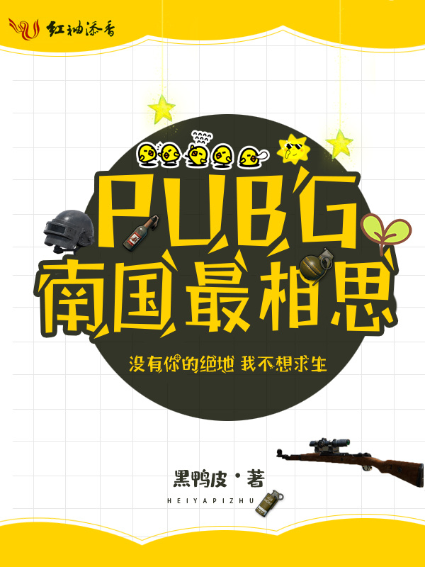 PUBG南国最相思小说封面