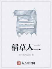 《稻草人二》封面