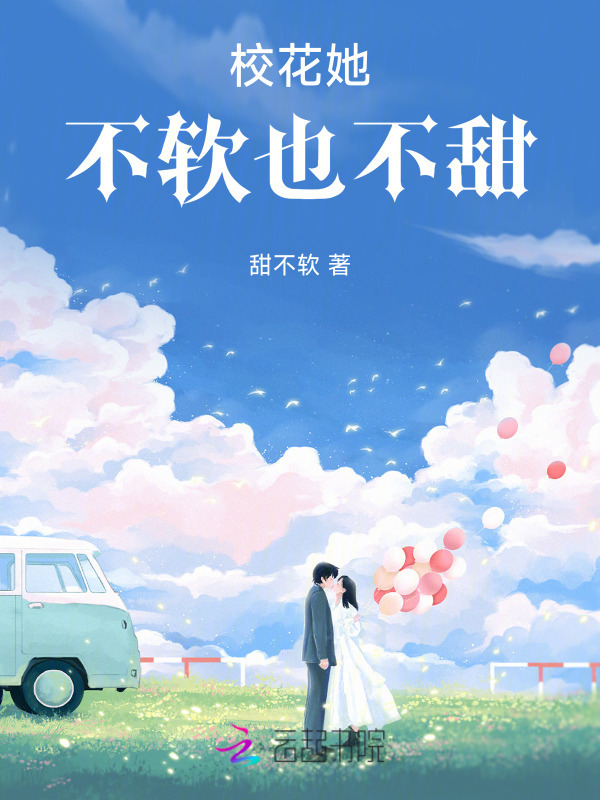 校花她不软也不甜小说封面