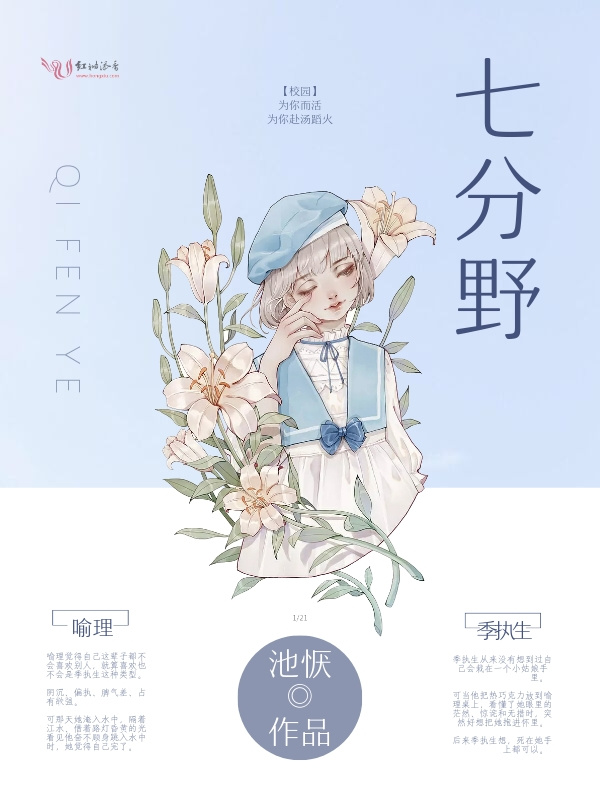 七分野小说封面