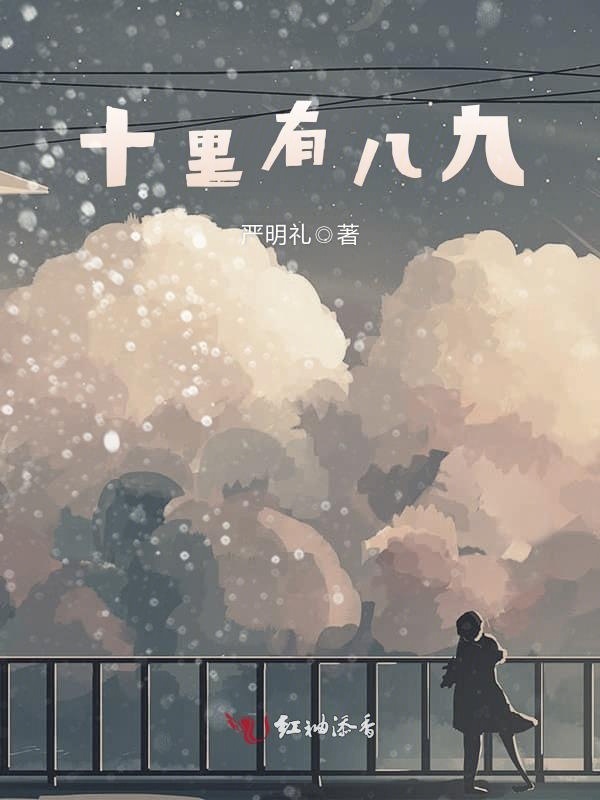 十里有八九小说封面