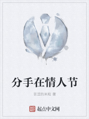 《分手在情人节》封面