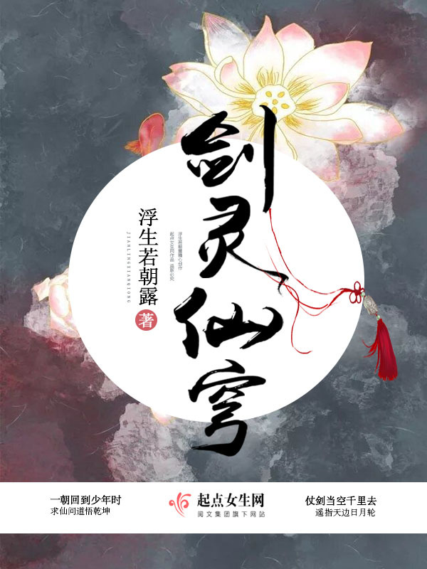 剑灵仙穹小说封面