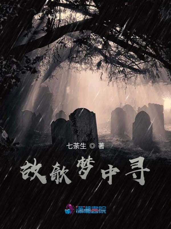 故欹梦中寻小说封面