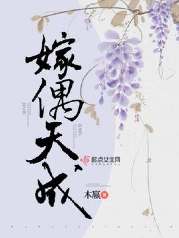 嫁偶天成小说封面