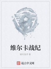 《维尔卡战纪》封面