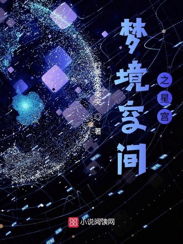 梦境空间之星宫小说封面